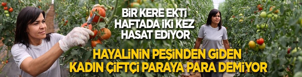 Bir kere ekti haftada iki kez hasat ediyor! Hayalinin peşinden giden kadın çiftçi paraya para demiyor