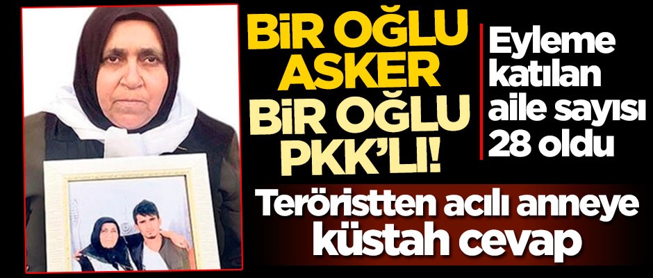 Bir oğlu asker, bir oğlu PKK'lı! Teröristten acılı anneye küstah cevap