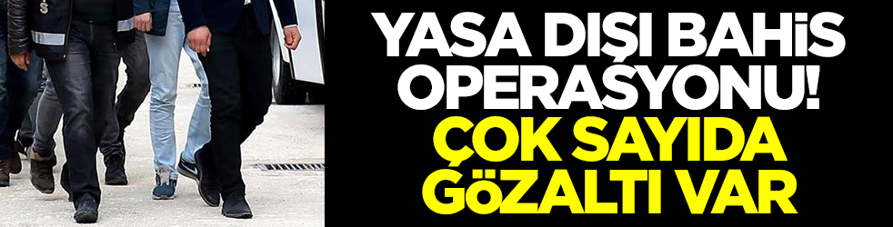 Bir operasyon daha: Çok sayıda kişi gözaltına alındı