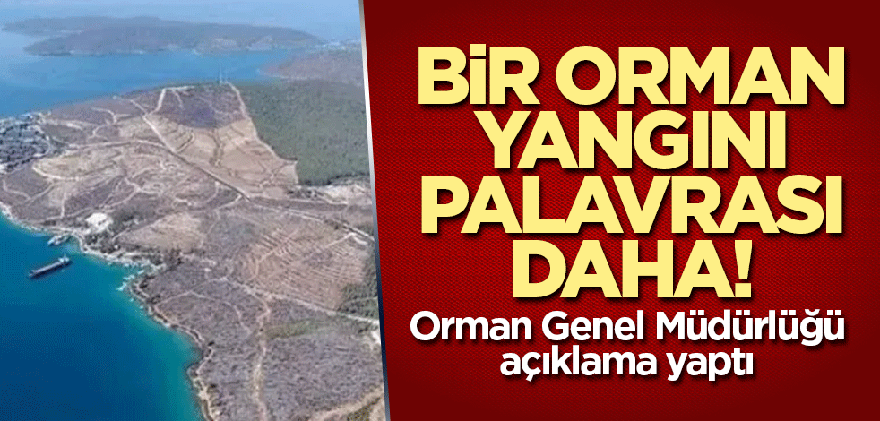 Bir orman yangını algısı daha! Orman Genel Müdürlüğü açıklama yaptı