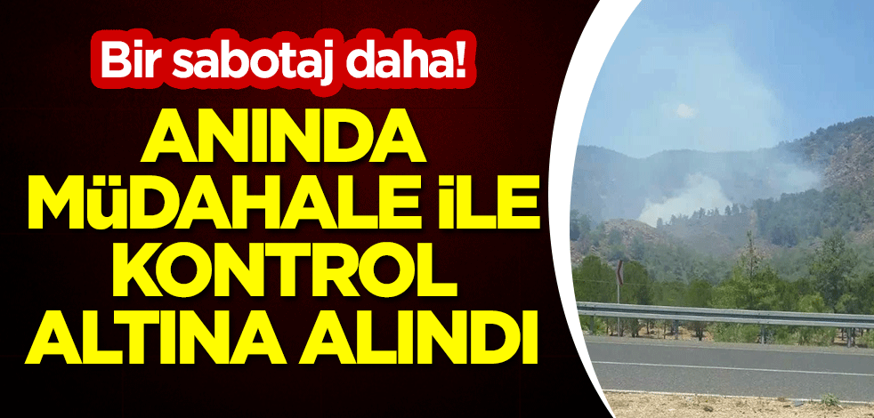 Bir sabotaj daha! Köyceğiz'deki orman yangını anında müdahale ile kontrol altına alındı