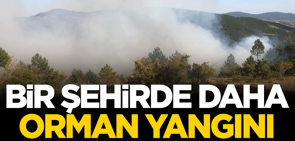 Bir şehirde daha orman yangını!