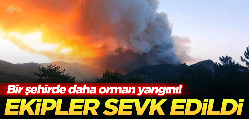 Bir şehirde daha orman yangını! Ekipler sevk edildi