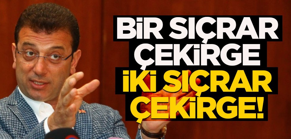 Bir sıçrar çekirge, iki sıçrar çekirge!
