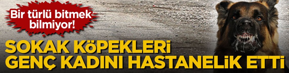 Bir türlü bitmek bilmiyor! Sokak köpekleri genç kadını hastanelik etti