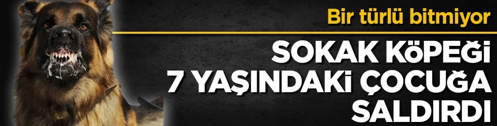 Bir türlü bitmiyor! Sokak köpeği 7 yaşındaki çocuğa saldırdı
