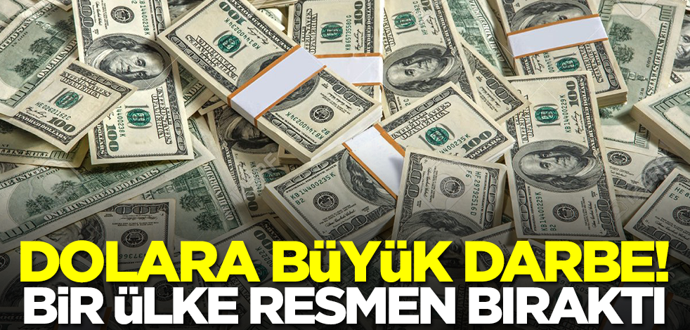 Türkiye'nin komşusu kararını duyurdu! Doları resmen bıraktılar