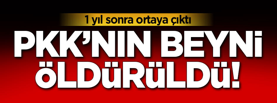 Bir yıl sonra açıkladılar: PKK’nın beyni öldürüldü