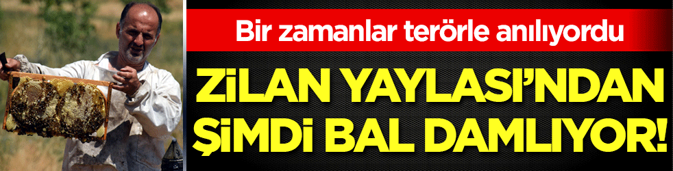 Bir zamanlar terörle anılıyordu: Zilan Yaylası'ndan şimdi bal damlıyor!