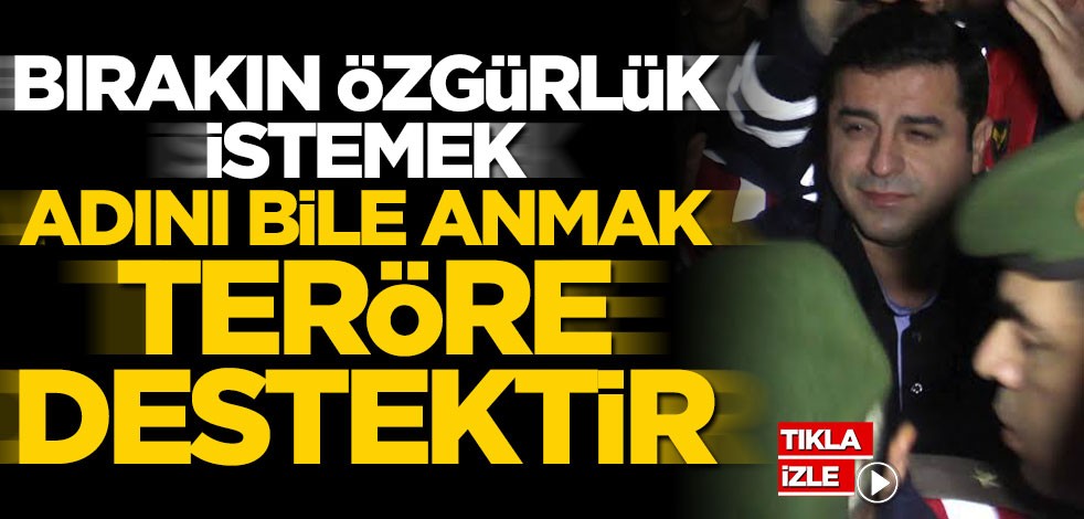 Bırakın özgürlük istemek, adını bile anmak teröre destektir