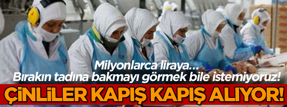 Bırakın tadına bakmayı görmek bile istemiyoruz! Milyonlarca liraya… Çinliler kapış kapış alıyor!