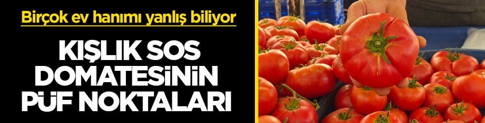 Birçok ev hanımı yanlış biliyor! Kışlık sos domatesinin püf noktaları