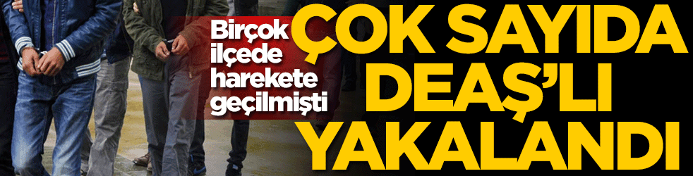 Birçok ilçede harekete geçilmişti! İstanbul'da çok sayıda DEAŞ'lı yakalandı