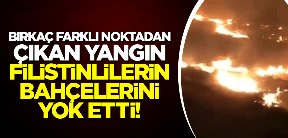 Birkaç farklı noktadan çıkan yangın Filistinlilerin bahçelerini yok etti!