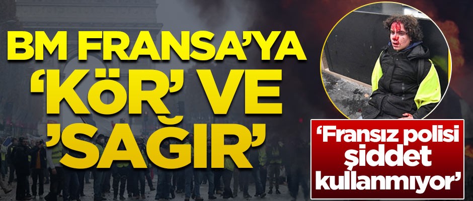 Birleşmiş Milletler Fransa'ya 'Kör' ve Sağır'