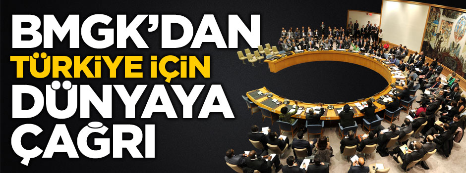 Birleşmiş Milletler Güvenlik Konseyi'nden flaş Türkiye çağrısı