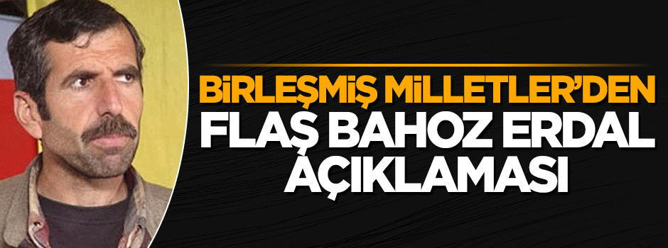Birleşmiş Milletler Suriye Temsilcisinden Bahoz Erdal açıklaması