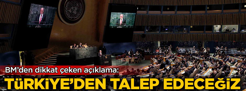 Birleşmiş Milletler'den dikkat çeken açıklama: Türkiye'den talep edeceğiz