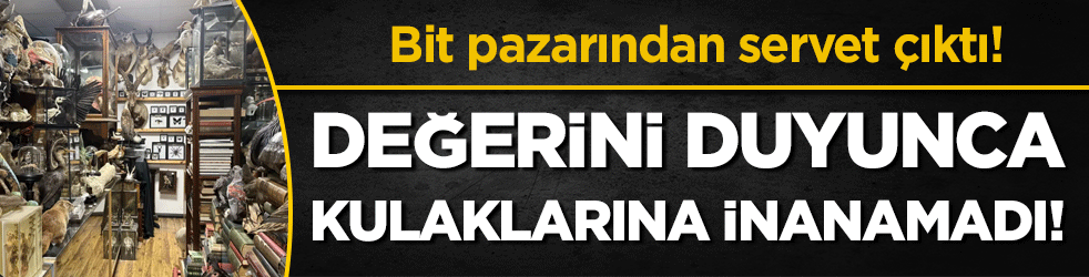 Bit pazarından aldığı sıradan bir şey sandı: Değerini duyunca kulaklarına inanamadı!