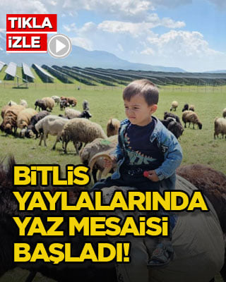 Bitlis yaylalarında yaz mesaisi başladı!