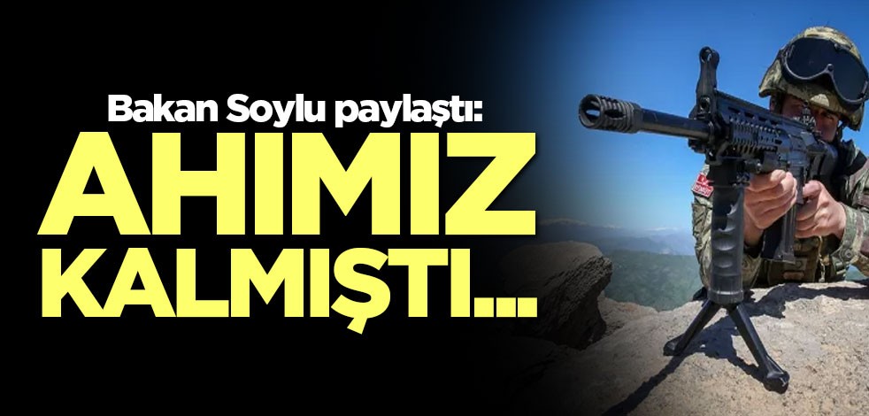 Bİtlis'te 3 terörist etkisiz hale getirildi