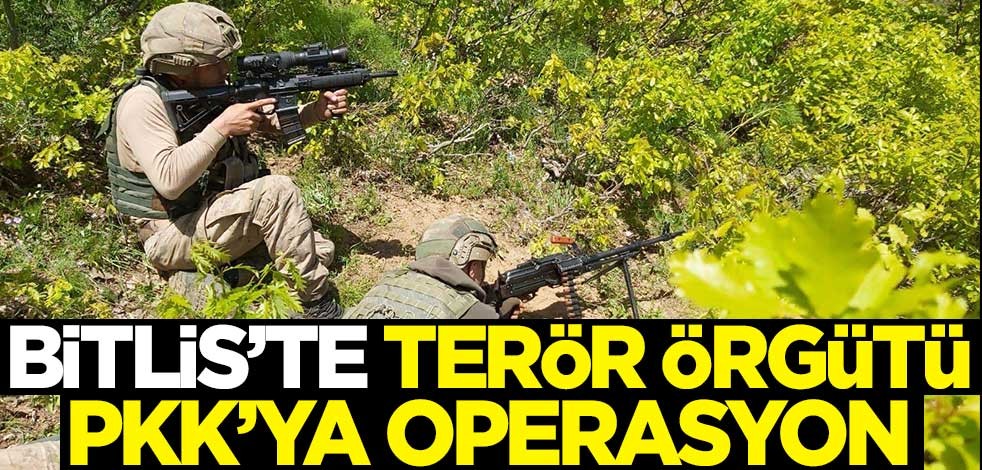 Bitlis'te terör örgütü PKK'ya operasyon