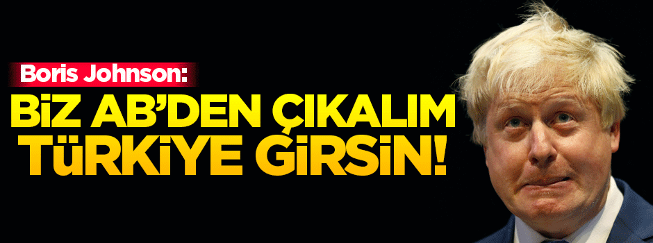 'Biz AB'den çıkalım, Türkiye girsin'