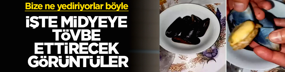Bize ne yediriyorlar böyle! İçinden çıkanlar şok etti: İşte midyeye tövbe ettirecek görüntüler