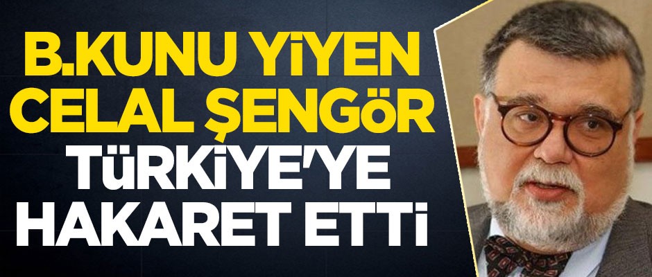 B.kunu yiyen Celal Şengör, Türkiye'ye karşı ağır ifadeler kullandı