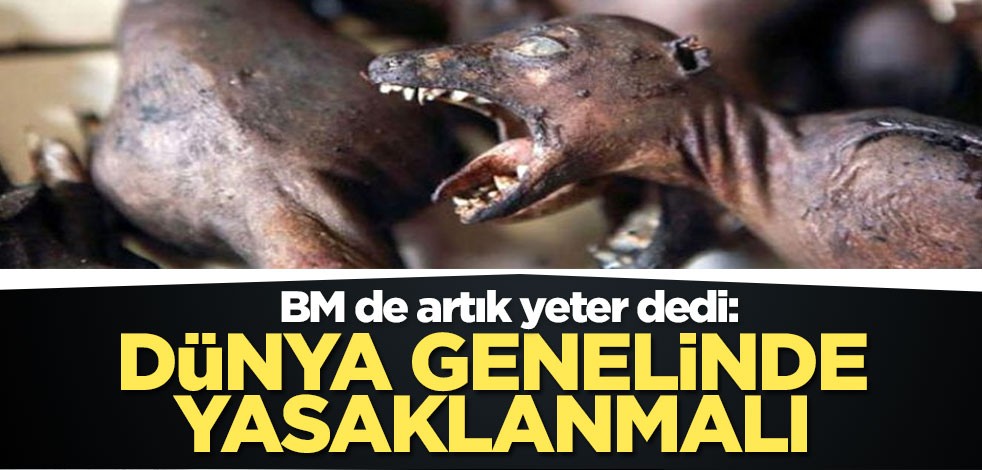 BM de artık yeter dedi: Dünya genelinde yasaklanmalı