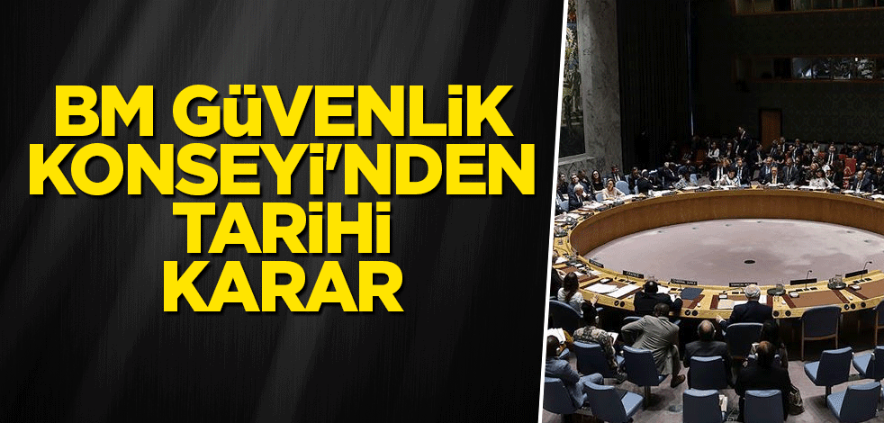 BM Güvenlik Konseyi'nden tarihi karar!