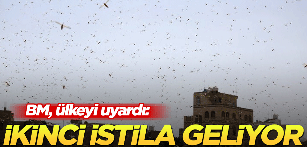BM, ülkeyi uyardı: İkinci istila geliyor