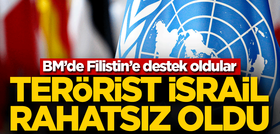 BM'de Filistin'e destek olan ülke, İsrail'i rahatsız etti!