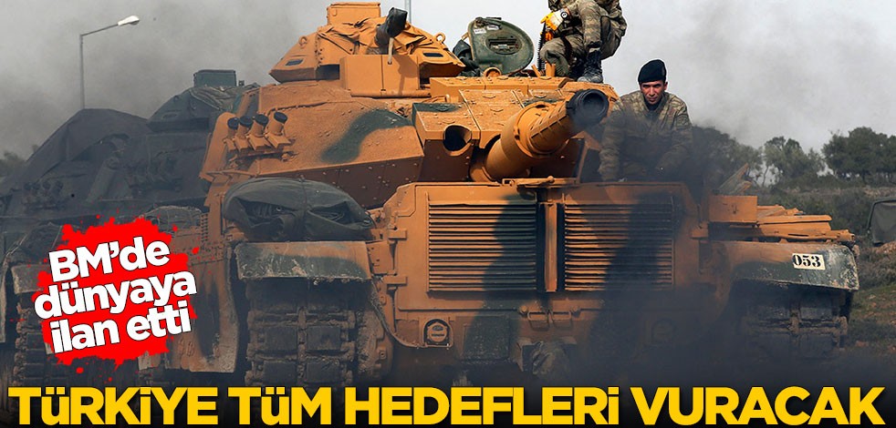 BM'de tüm dünyaya ilan etti: Türkiye tüm hedefleri vuracak