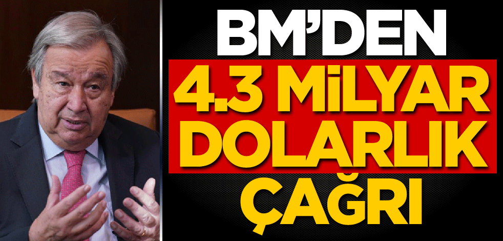 BM'den 4,3 milyar dolarlık çağrı