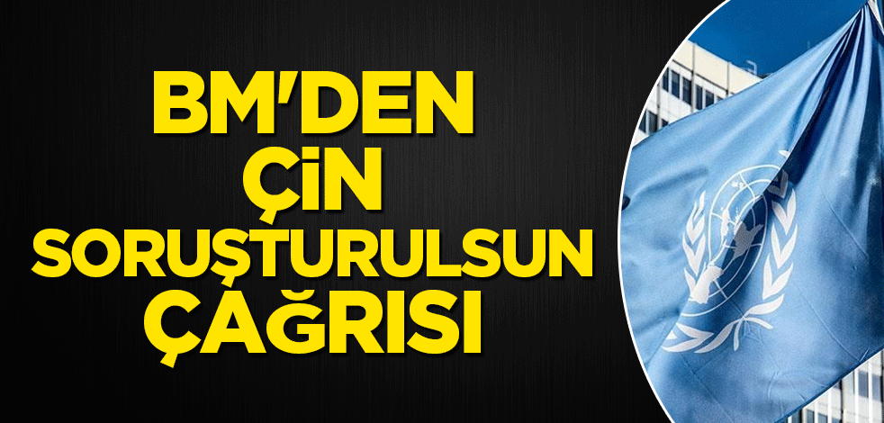 BM'den Çin soruşturulsun çağrısı