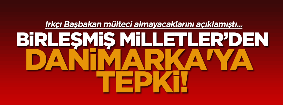 BM'den Danimarka'ya tepki!