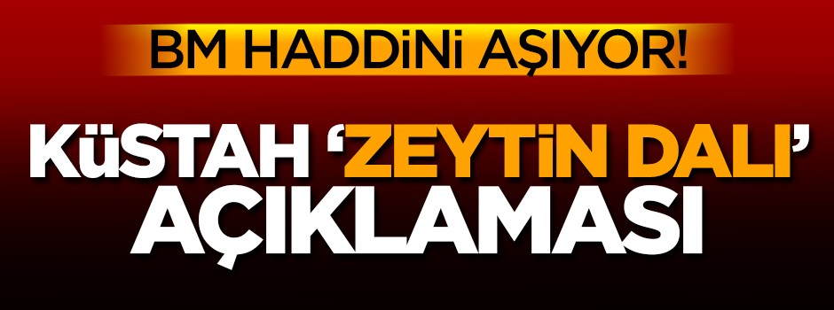 BM'den küstah 'Zeytin Dalı Harekatı' açıklaması