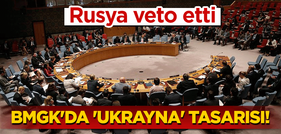 BMGK'da 'Ukrayna' tasarısı! Rusya veto etti