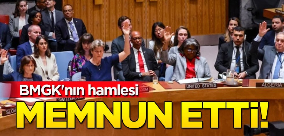 BMGK'nın kararı Arap dünyasını memnun ediyor: Suudi Arabistan, Mısır, Kuveyt... Hedef alıyorlar, ilan edildi