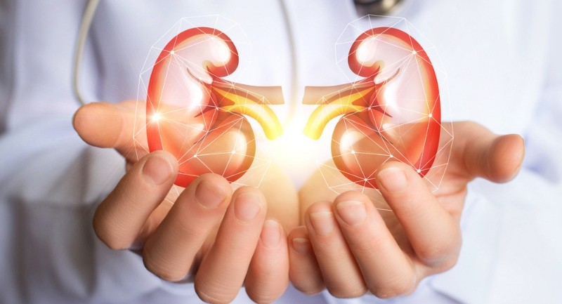 Böbrek hastaları ne yemeli ne yememeli?