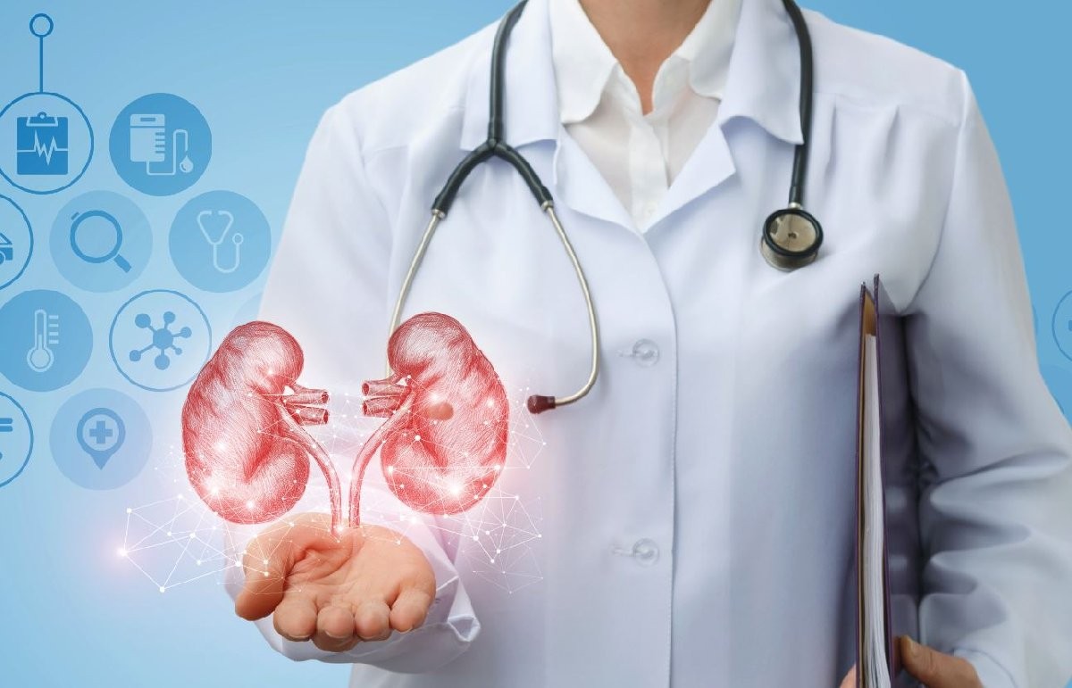 Böbrek kistine hangi doktor bakar?