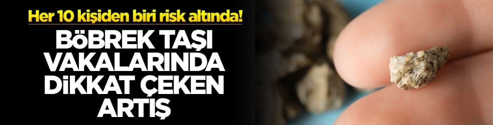 Böbrek taşı vakalarında dikkat çeken artış: Her 10 kişiden biri risk altında