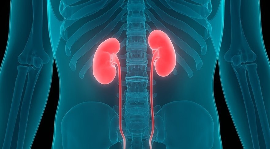 Böbrek taşıyla mücadelenize destek olacak içecekler