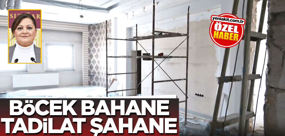 Böcek bahane tadilat şahane