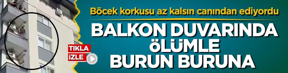 Böcek korkusu az kalsın canından ediyordu! Balkon duvarında ölümle burun buruna
