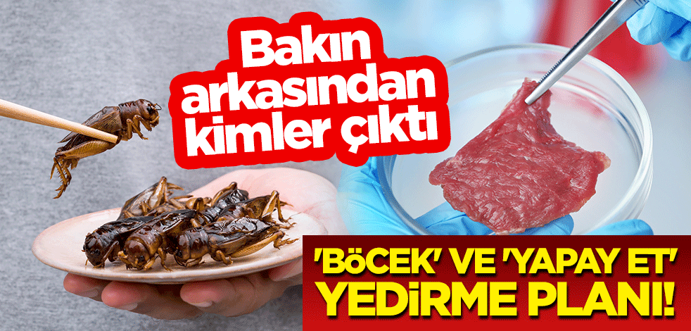 'Böcek' ve 'yapay et' yedirme planı! Bakın arkasından kimler çıktı