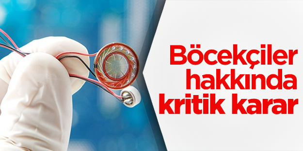 Böcekçi polisler hakkında kritik karar