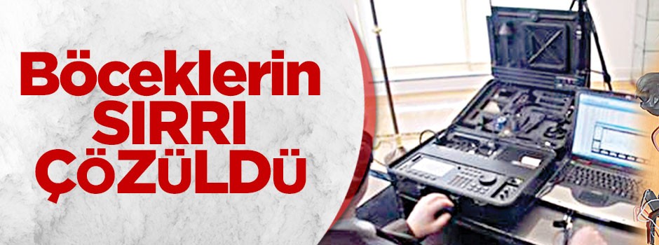 Böceklerin sırrı çözüldü