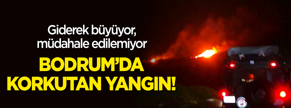 Bodrum'da korkutan yangın! Müdahale edilemiyor